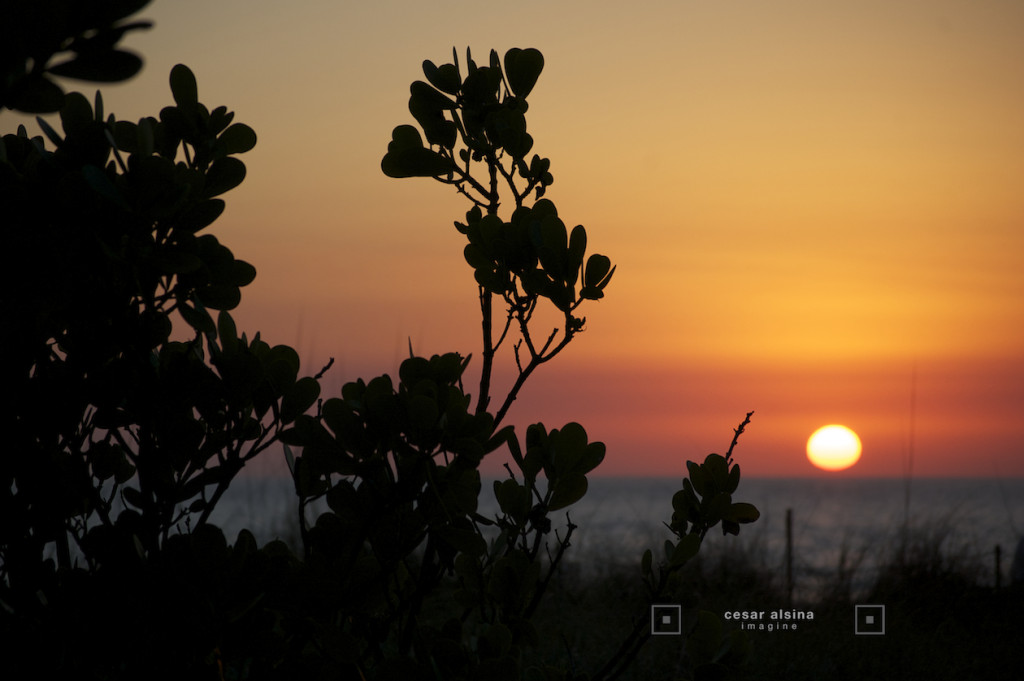 DSC_0597_cloudysunsetNaplesB_©cesaralsina