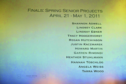 The 2011 Seniors Projects Show
