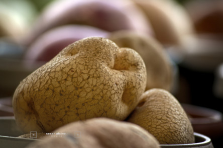 _DSC1163_freshmarket_©cesaralsina