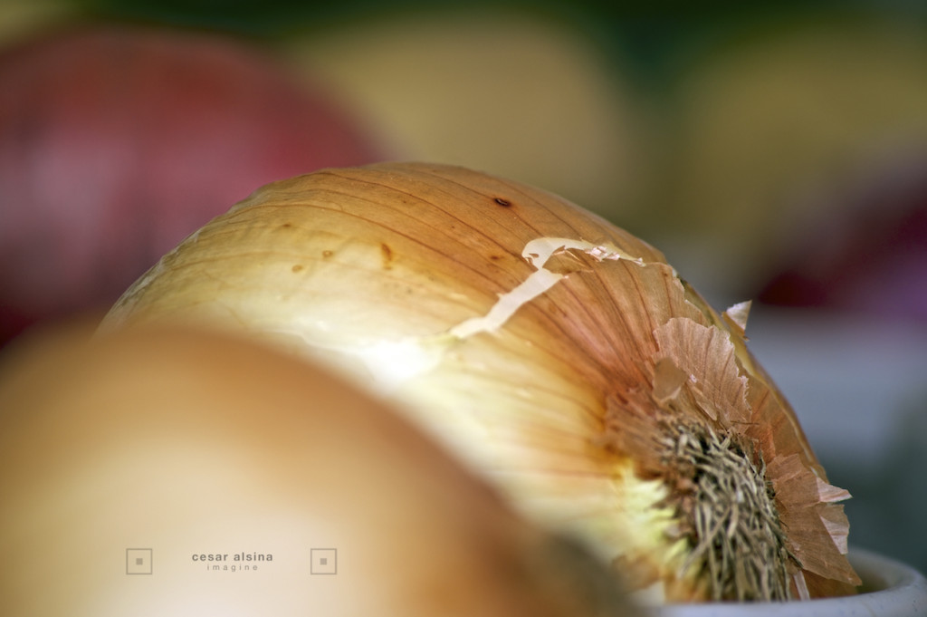 _DSC1164_freshmarket_©cesaralsina