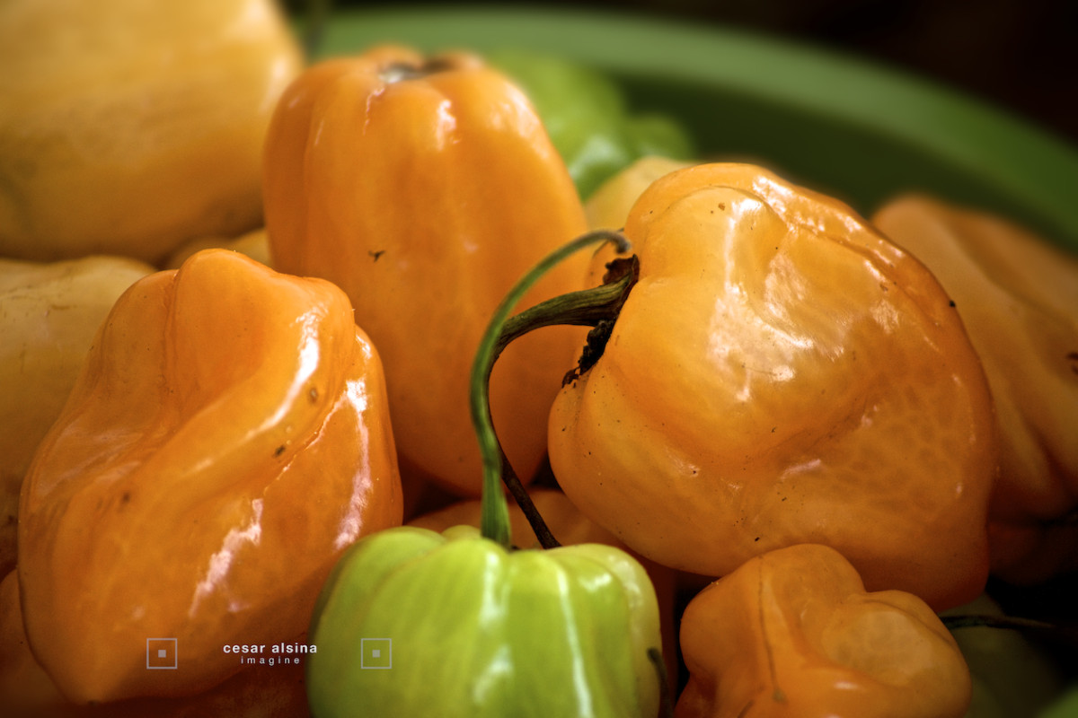 fresh market