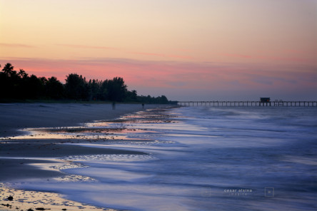 Naples Pier - Partial