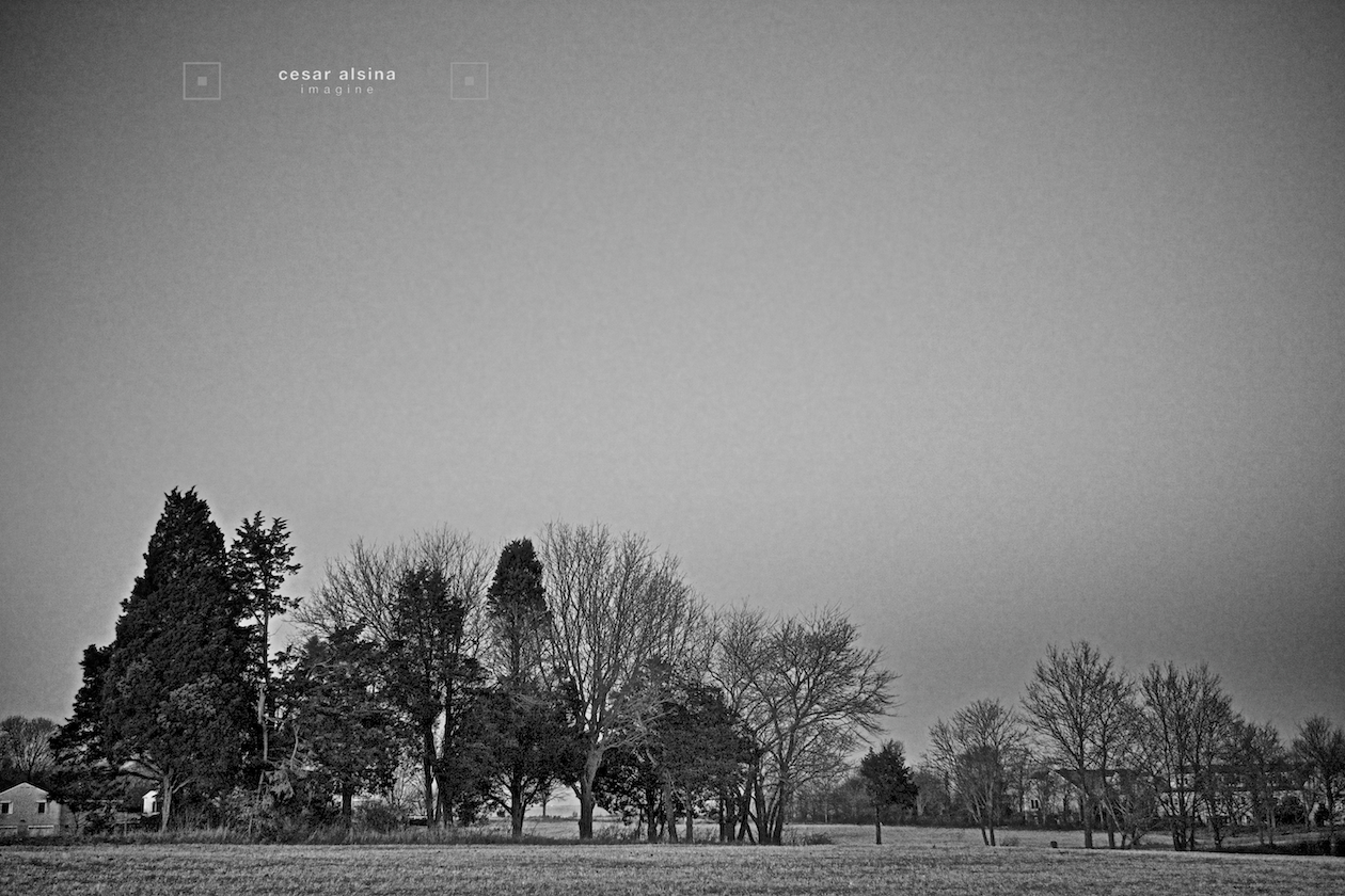 3_DSC6706_plymouth_landscape1_©cesaralsina