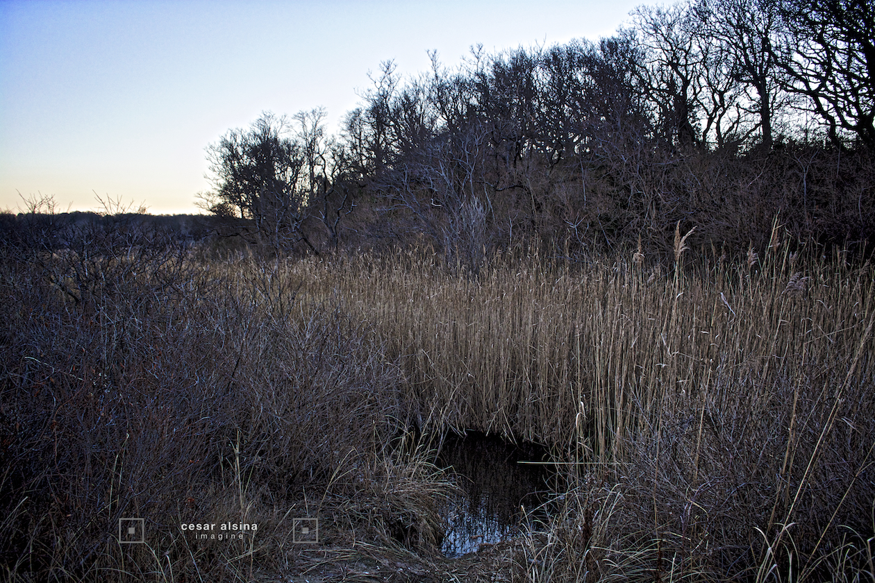 7_DSC6694_plymouth_bay_©cesaralsina