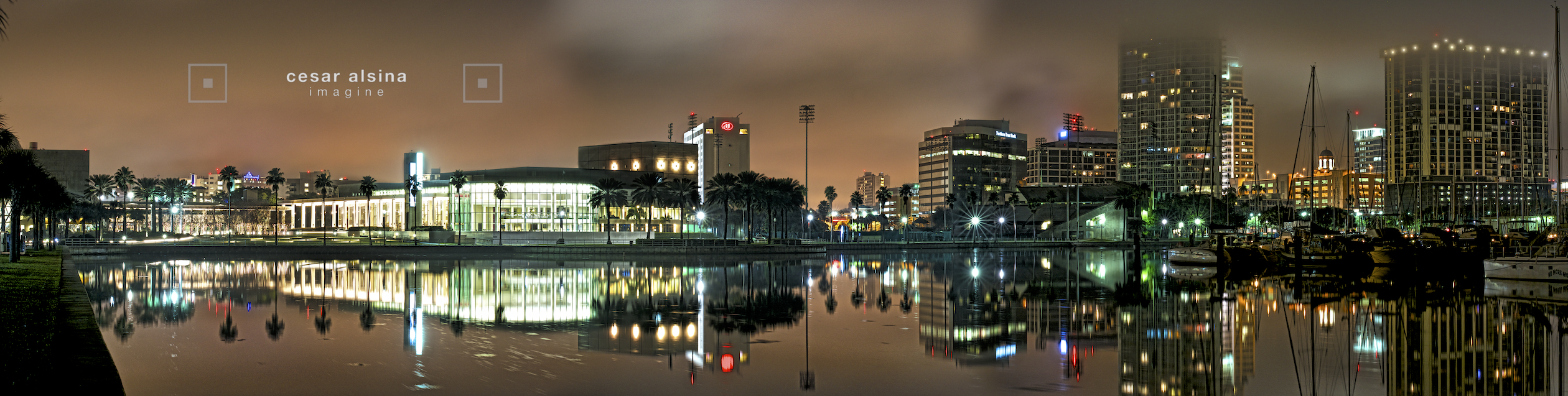 St Pete Night Fog