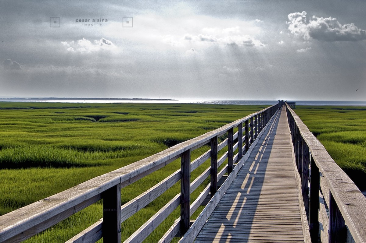 Bass Hole Boardwalk at Gray’s Beach
