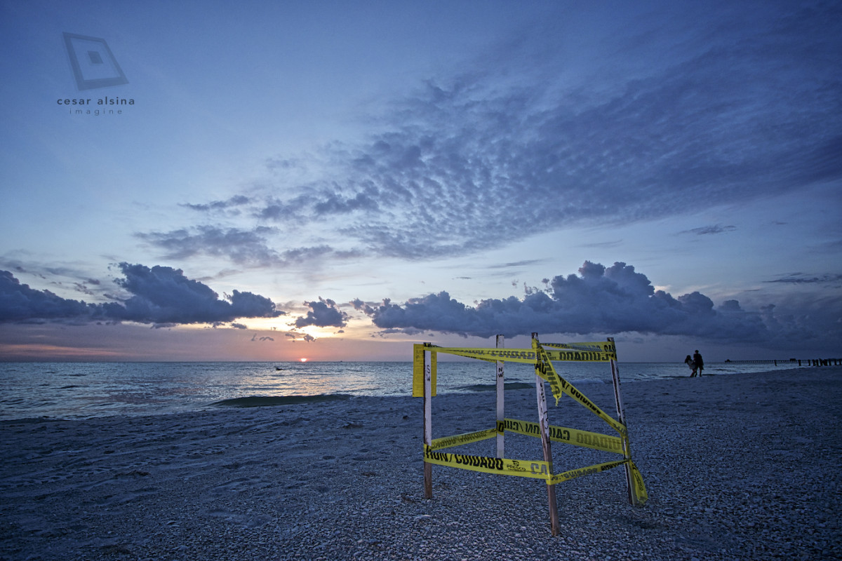 Protected Turtle Eggs at Sunset in Naples Beach